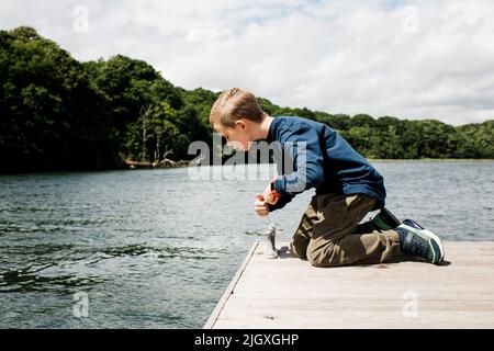 young boy with a fishing crabbing net looking over the dock Stock Photo