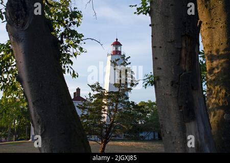 Sandy Hook, New Jersey, lighthouse hiding behind trees on a sunny afternoon -75 Stock Photo