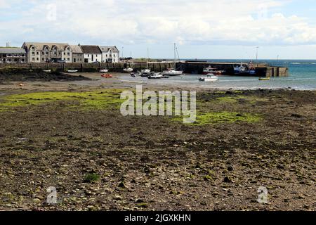 Boats in the harbour, Isle of Whithorn, Dumfries & Galloway, Scotland, UK Stock Photo