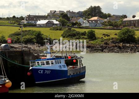 Fishing trawler, Isle of Whithorn, Dumfries & Galloway, Scotland, UK Stock Photo