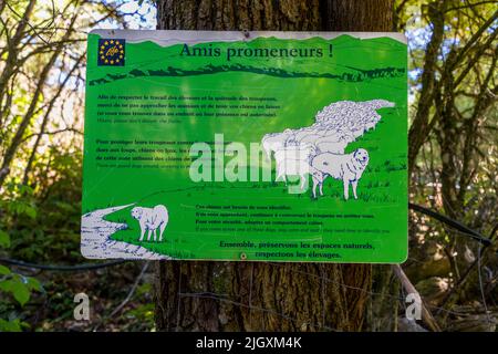 A sign informs hikers about livestock guard dogs along a trail near the Gorges d'Omblèze, France. The text asks walkers not to disturb the animals and to keep dogs on a lead, as the guard dogs protect sheep and goat flocks from wolves and lynx. It advises hikers to stay calm and stop if they encounter one. Stock Photo