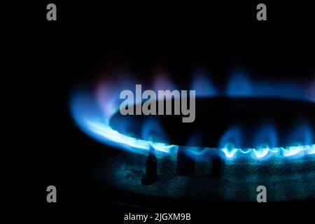 Gas Hob ring or burner with blue flame emissions. Concepts of energy, bills, heating, cooking, fossil fuels, winter Stock Photo