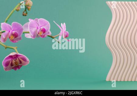 Green background for advertising products with orchid flowers and geometric shapes Stock Photo