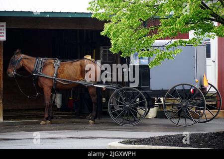 traditional Amish buggy, Lancaster, Pennsylvania, USA, North America Stock Photo