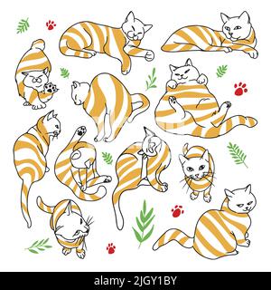 Funny striped cats set, collection of cartoon pets, in different angles and poses, doodle style drawing, vector illustration Stock Vector