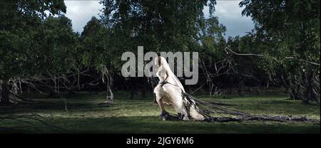 KIRSTEN DUNST, MELANCHOLIA, 2011 Stock Photo - Alamy