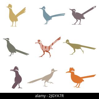 Collection Of Roadrunner Birds Stock Vector
