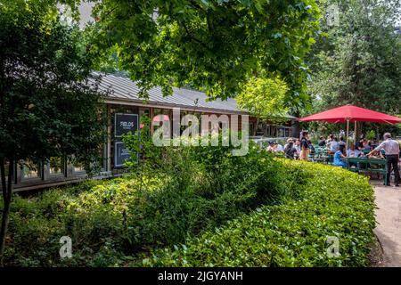 Fields cafe/restaurant in Lincoln Inn Fields in Central London, UK Stock Photo