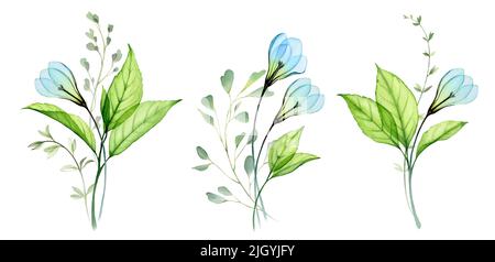 Watercolor blue flowers compositions. Three bouquets with snowdrop and fresh green leaves. Hand painted floral collection. Botanical illustration for Stock Photo