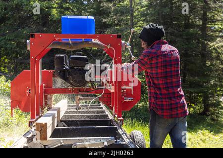 A man is seen from the rear using a mobile industrial sawmill trailer in a forest clearing, chopping a plank of wood with sawdust flying in air. Stock Photo