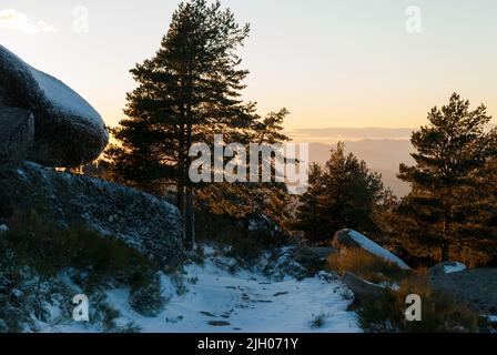 Sunset in La Muela, La Garganta Extremadura, rocks and snowy pines in spring Stock Photo