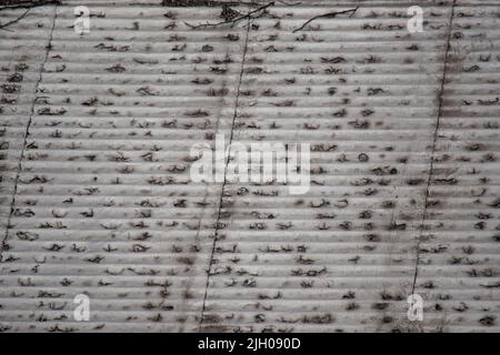 Abstract background. Texture. Corrugated steel sheet. Fooftop Stock Photo