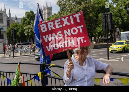London, UK. 13th July, 2022. A protester is seen holding a placard that says 'Brexit was not worth it' during the demonstration. Anti-Boris Johnson protesters staged a protest over the Partygate scandal and against Brexit in London. (Photo by Teresa Nunes/SOPA Images/Sipa USA) Credit: Sipa USA/Alamy Live News Stock Photo