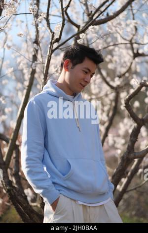 handsome Asian young man hands in pockets, enjoy sunlight under white sakura blossom tree Stock Photo