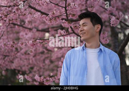 smiling handsome Asian young man side face, with beautiful pink cherry blossom tree in spring Stock Photo