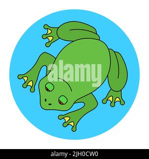 green big frog in the swamp top view. flat vector illustration. Stock Vector