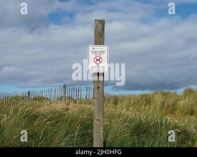 A 'No dogs allowed' sign firmly attached to a wooden plank in cloudy sky background Stock Photo