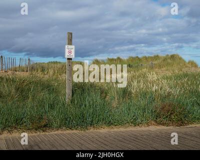 A 'No dogs allowed' sign firmly attached to a wooden plank in cloudy sky background Stock Photo