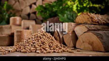 Ground level of heap of compressed wood pellets stacked on floor near chopped firewood of various types with green leaves and biomass briquettes in su Stock Photo