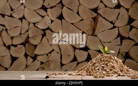 Pile of compressed cylindrical pellets with fresh green leaf scattered on floor against stack of firewood in daylight Stock Photo