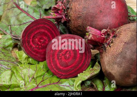 Fresh beets. Beets leaves and fresh beetroot. Stock Photo