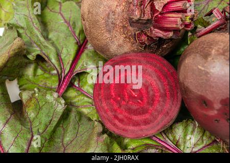 Fresh beets. Beets leaves and fresh beetroot. Stock Photo