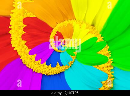 Abstract floral background made from twisted rainbow colored daisies. Nature awakening concept. Stock Photo