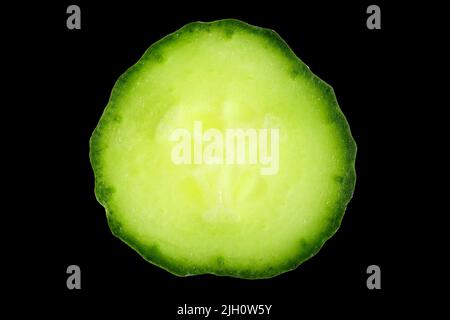Extreme close up of a slice of fresh, green, organic cucumber on a black background. Stock Photo