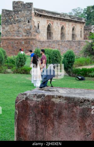 People are enjoying visiting at a Indian mobument which is known as bara gumbad at lodhi Garden, New Delhi, India Stock Photo