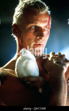 RUTGER HAUER, BLADE RUNNER, 1982 Stock Photo