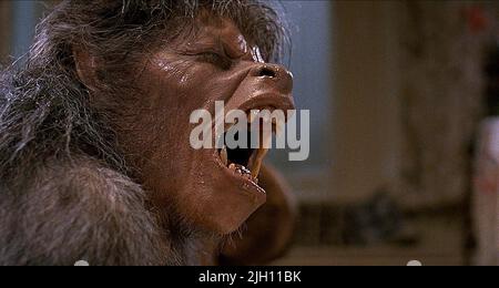 WEREWOLF, AN AMERICAN WEREWOLF IN LONDON, 1981 Stock Photo