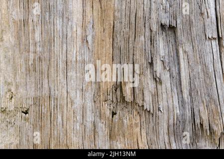Wooden wall Stock Photo