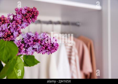 Women's clothes in pink colors on a white hanger. Lilac branch in the foreground Stock Photo