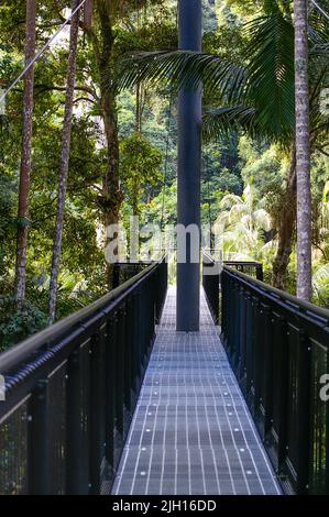 Skywalk elevated treetop bridges and cantilever pathway on Tamborine ...