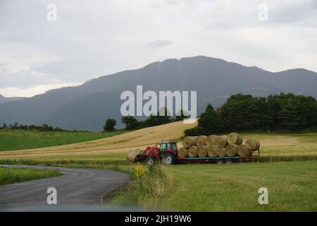 red tractor pulling a trailer with round hay bales in france Stock Photo