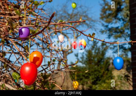 A closeup of colorful eggs hanging from tree branches in Easter Stock Photo