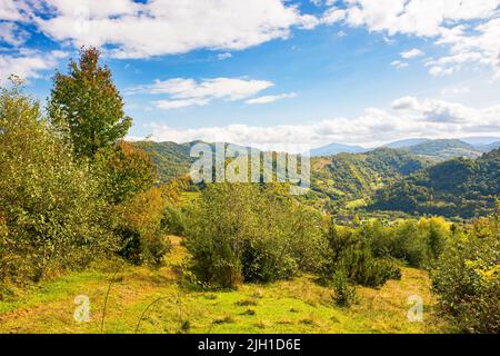 grassy meadow on the hill. colorful countryside landscape with forested mountains in autumn. cloudy weather Stock Photo