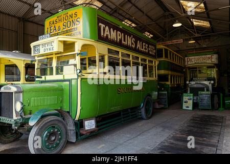 Southdowns vintage buses on display at Amberley Steam and heritage Museum, Sussex Stock Photo