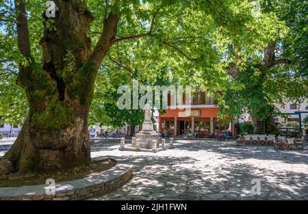 Old Plain trees create ample shade in the  village square in Zagora.  on the Eastern slopes pf the Pelion mountains, Pelion Peninsula, Thessaly, Greec Stock Photo