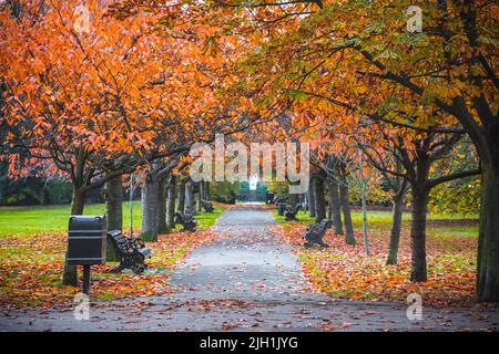 Seasonal landscape, autumn scene in Greenwich park, London Stock Photo