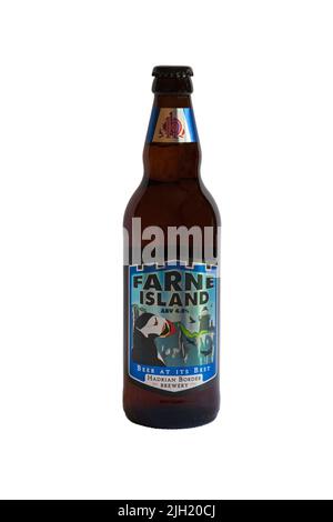 Bottle of Farne Island Beer at Its Best Hadrian Border Brewery isolated on white background Stock Photo