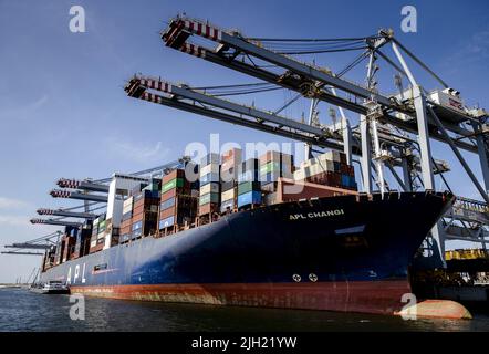 2022-07-14 11:54:28 ROTTERDAM - A container ship at a container terminal on Maasvlakte 2 seen from the Piet Hein, former pleasure boat of Queen Juliana. ANP SEM VAN DER WAL netherlands out - belgium out Stock Photo