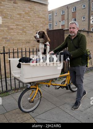 Man carrying dogs on basket in bicycle in London,England,UK Stock Photo
