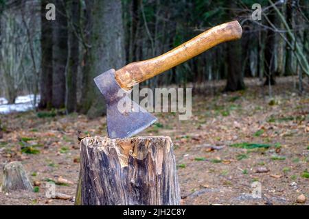 An old axe stuck in a tree stump in the forest Stock Photo