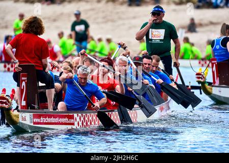 Gifhorn, Germany, July 10, 2022: Senior group paddles in a dragon boat on a lake Stock Photo