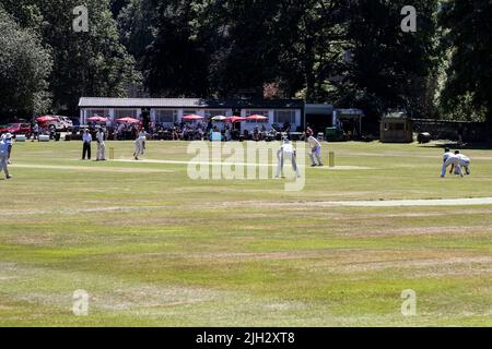 Wide angle view of a competitive league cricket match watched by spectators in bright sunshine on a summer's day in Huddersfield,  West Yorkshire U.K. Stock Photo