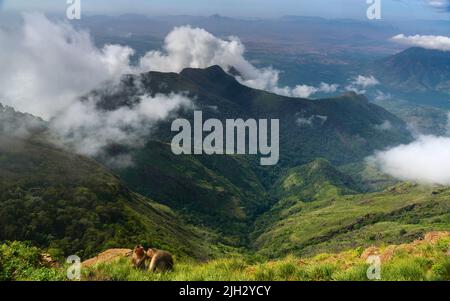 Silent Valley View in Kodaikanal Hill Station South India Stock Photo ...