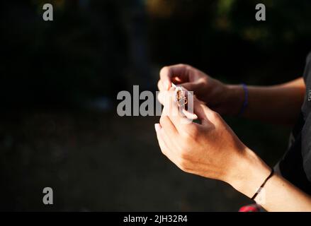 Adult man makes cigarette with hand rolling tobacco Stock Photo