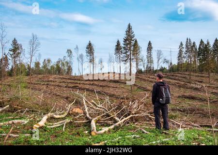 Cutting down trees in the forest. A man looks at the consequences of logging Stock Photo