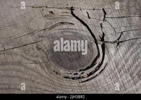 Wooden background or texture. Burnt wood with knots. Stock Photo
